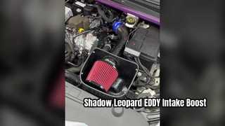 GAC Trumpchi Gölge Leoparı 1.5T