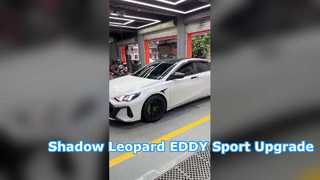 2023 Trumpchi Gölge Leoparı 1.5T