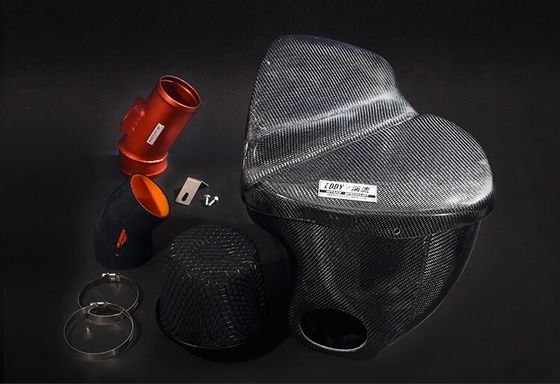 EY-CFIN-BM01 BMW 5 Serisi için Yüksek Performanslı Karbon Elyaf Cf-r Havalandırma